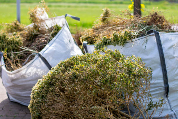 Best Residential Junk Removal  in Needville, TX